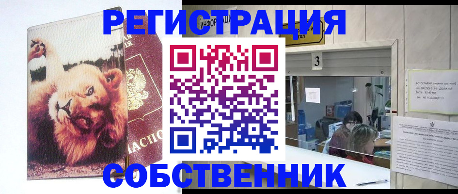 прописка поиск в Североморске