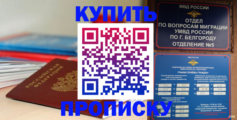 прописка для работы в Североморске